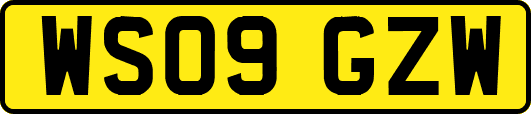 WS09GZW