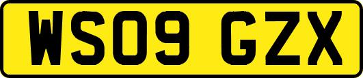 WS09GZX