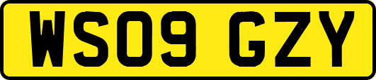 WS09GZY