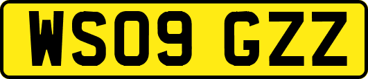 WS09GZZ