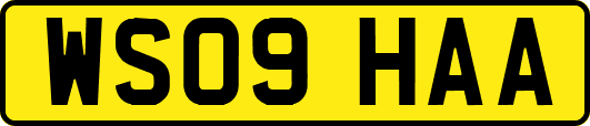 WS09HAA