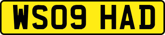 WS09HAD