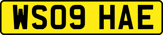 WS09HAE