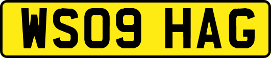 WS09HAG