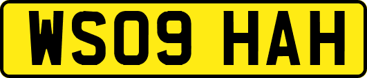 WS09HAH