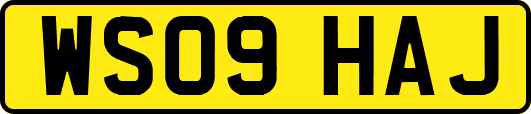 WS09HAJ