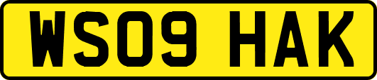 WS09HAK