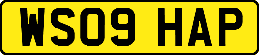 WS09HAP