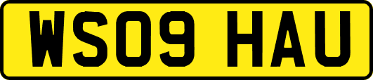 WS09HAU