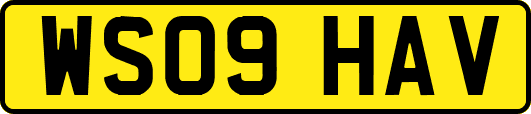 WS09HAV