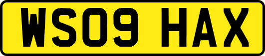 WS09HAX
