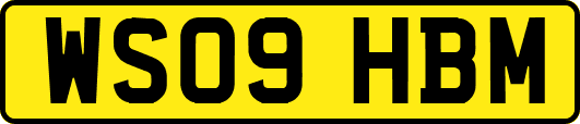 WS09HBM