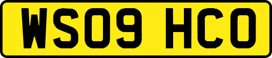 WS09HCO