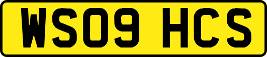 WS09HCS