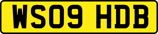 WS09HDB