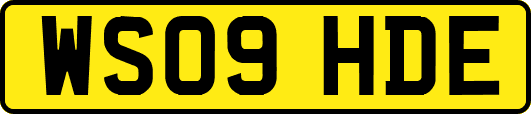 WS09HDE