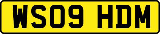 WS09HDM