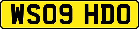 WS09HDO
