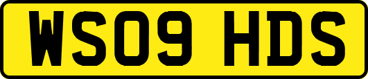 WS09HDS
