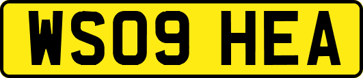 WS09HEA