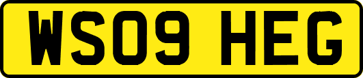 WS09HEG