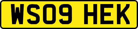 WS09HEK