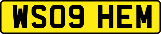 WS09HEM