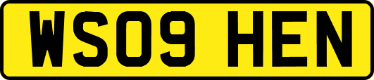 WS09HEN
