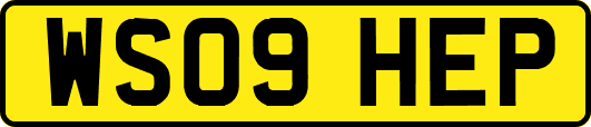 WS09HEP