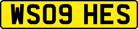 WS09HES