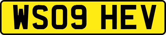 WS09HEV