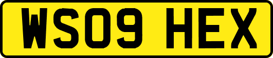 WS09HEX