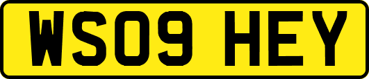 WS09HEY