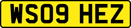 WS09HEZ