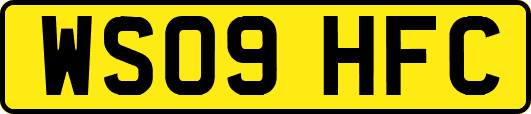 WS09HFC