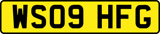 WS09HFG