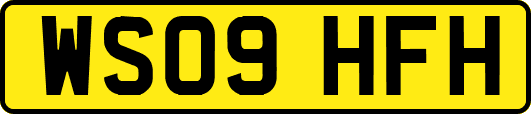 WS09HFH
