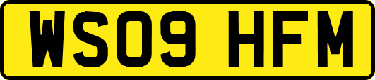 WS09HFM