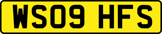 WS09HFS