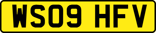 WS09HFV