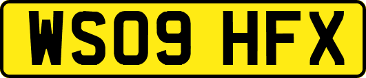 WS09HFX