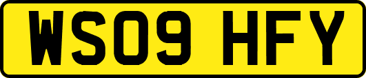WS09HFY