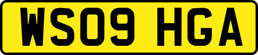 WS09HGA