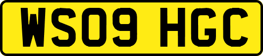 WS09HGC
