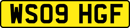 WS09HGF