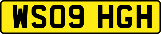 WS09HGH