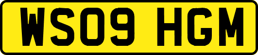 WS09HGM
