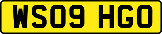 WS09HGO