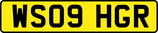 WS09HGR