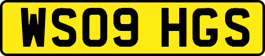 WS09HGS